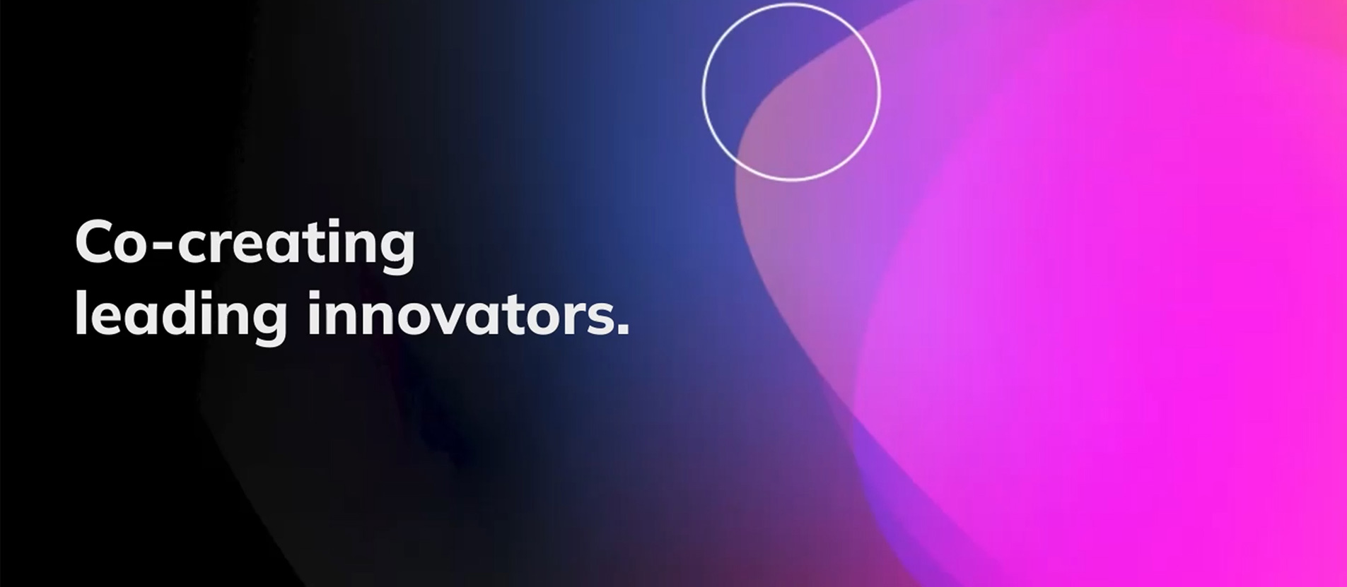 colorful-petals-with-texts-in-the-foreground